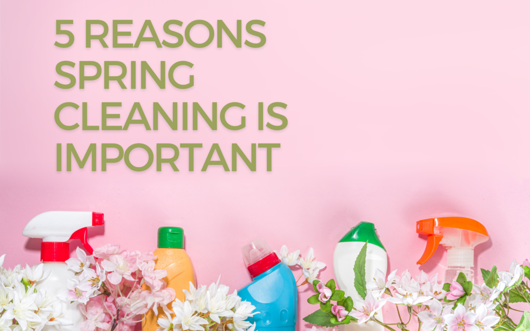 Five Reasons Spring Cleaning is Important